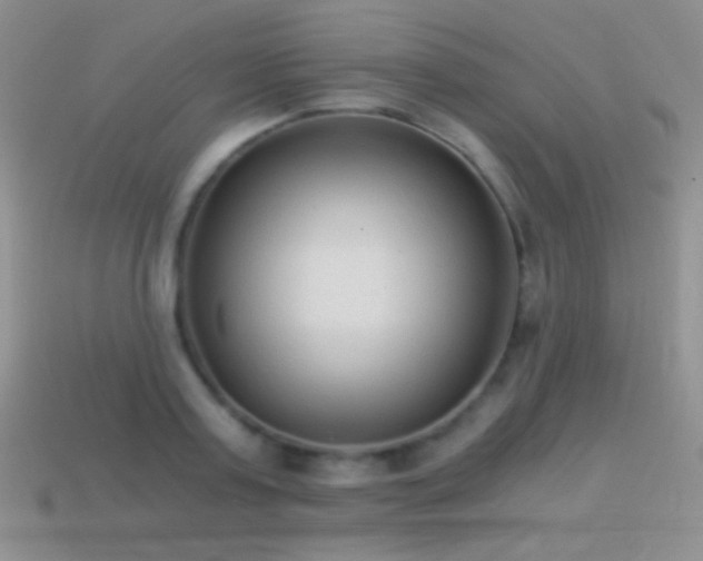 X0000114520795200910191154