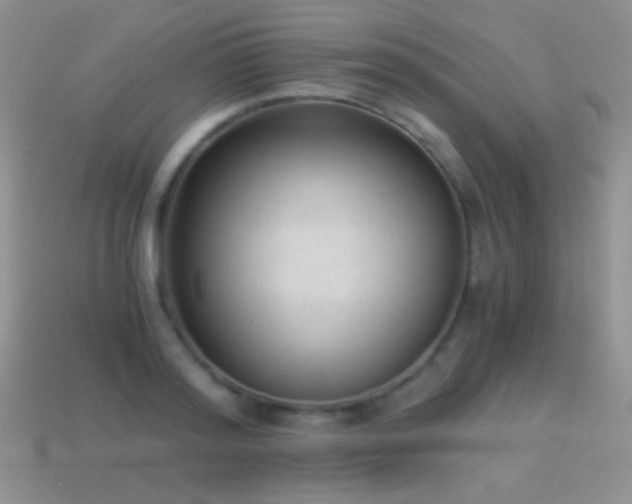 X0000114520796200910191154