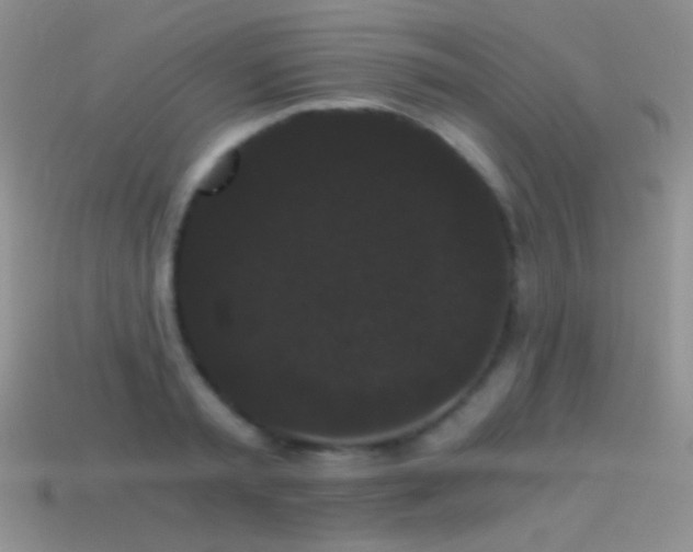 X0000114520797200910191154