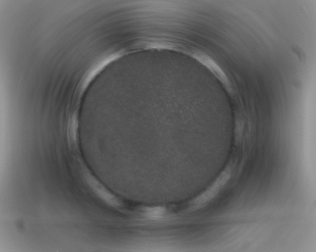 X0000114520798200910191154