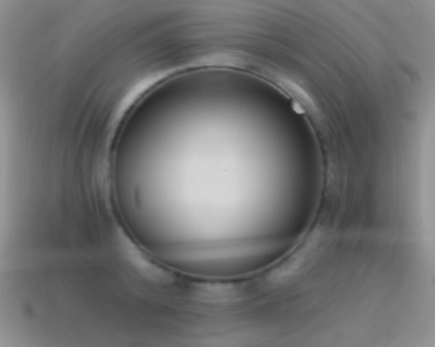 X0000114520800200910191154