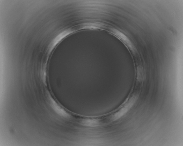 X0000114520802200910191153