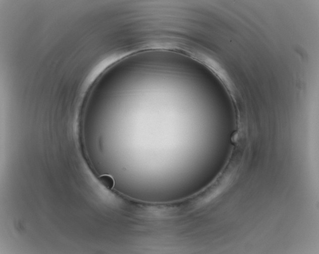 X0000114520803200910191153