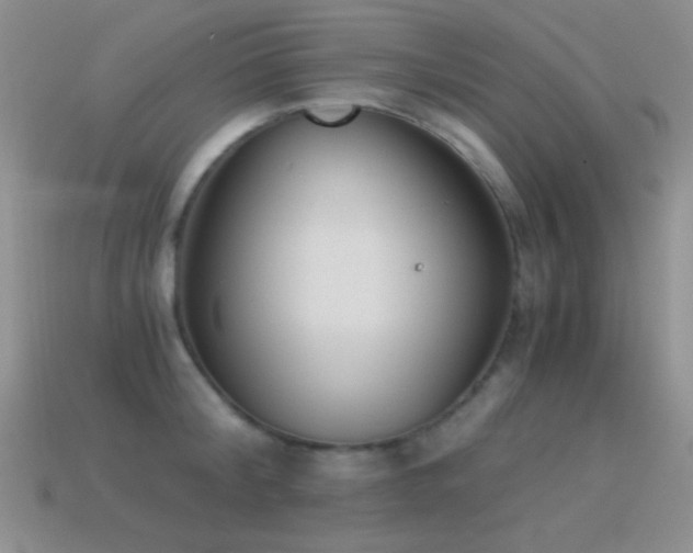 X0000114520804200910191153