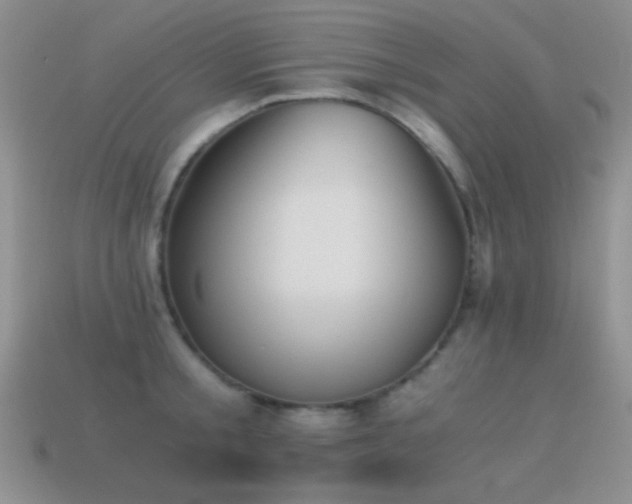 X0000114520805200910191153