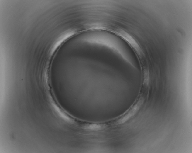 X0000114520806200910191153