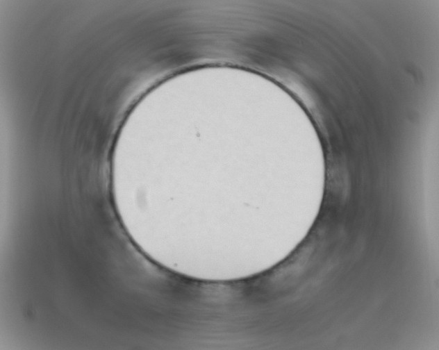 X0000114520807200910191153