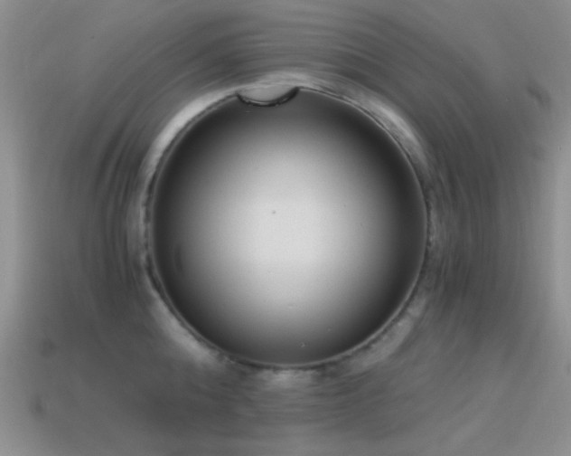 X0000114520808200910191153