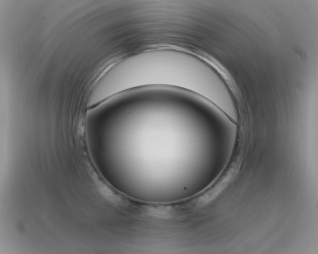 X0000114520809200910191153