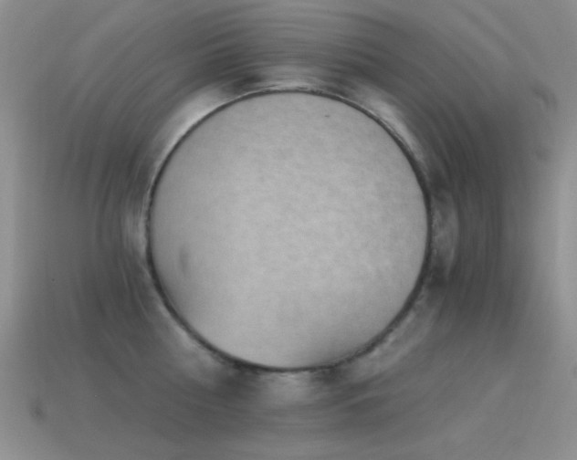 X0000114520810200910191153