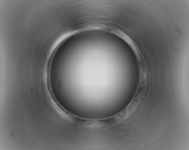 X0000114520811200910191153