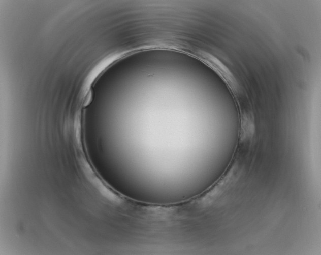 X0000114520812200910191153