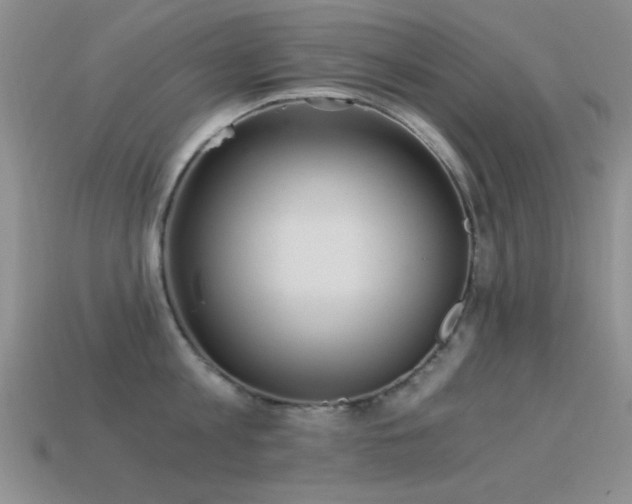 X0000114520813200910191153