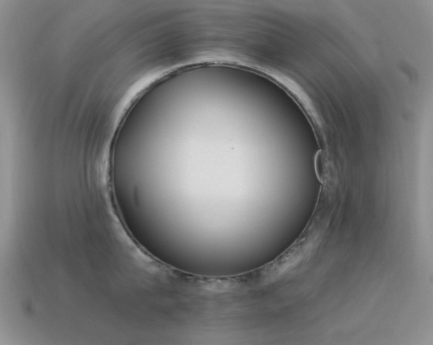 X0000114520815200910191153