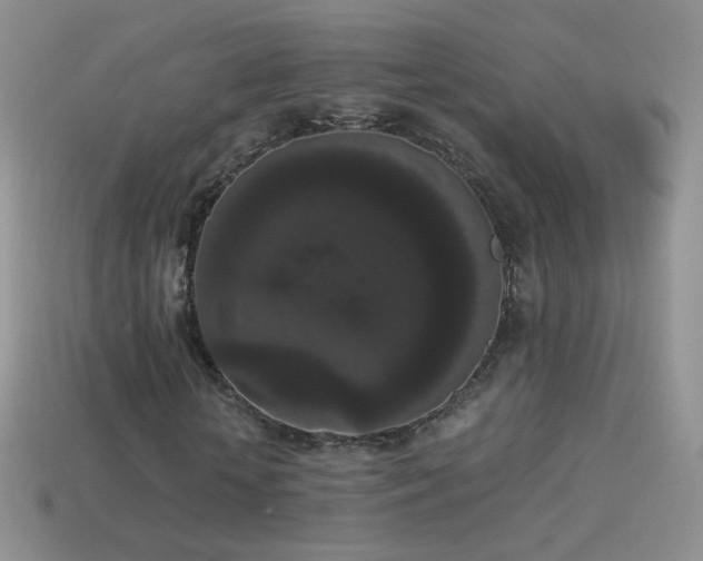 X0000114520818200910191153