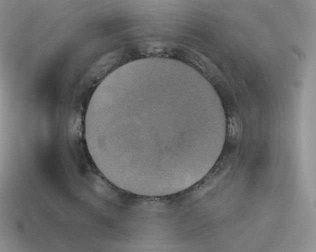 X0000114520820200910191153