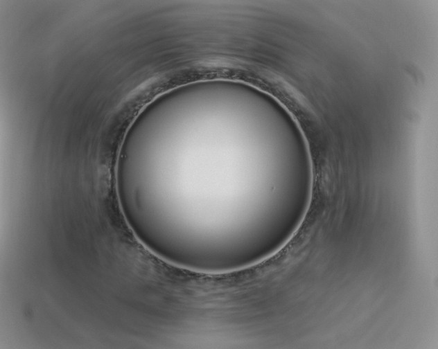 X0000114520821200910191153