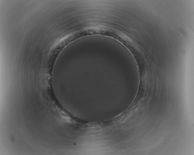 X0000114520822200910191153