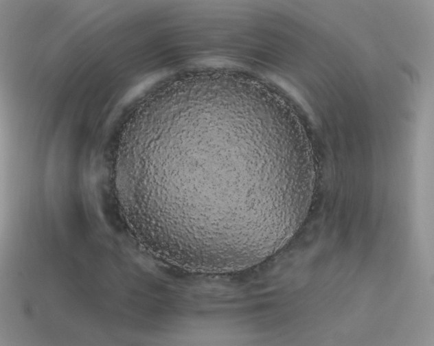 X0000114520823200910191153