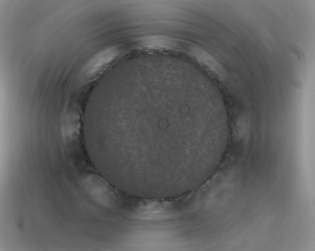 X0000114520824200910191153