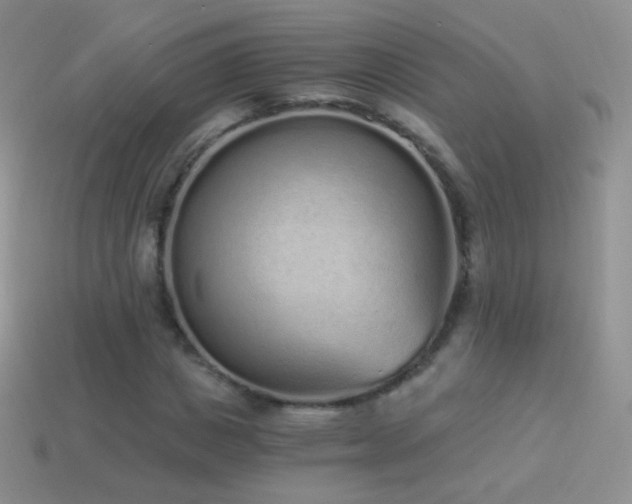 X0000114520825200910191153