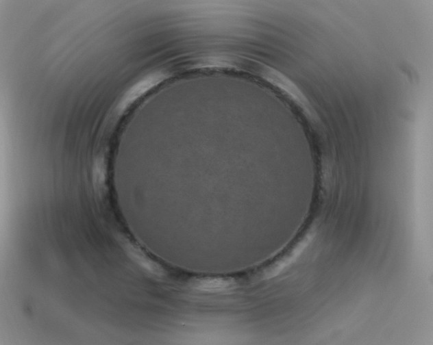 X0000114520826200910191153