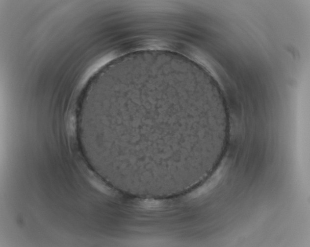 X0000114520827200910191153