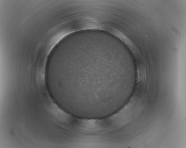 X0000114520828200910191153