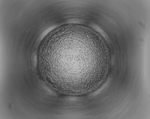 X0000114520829200910191153