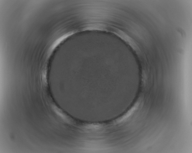 X0000114520830200910191153