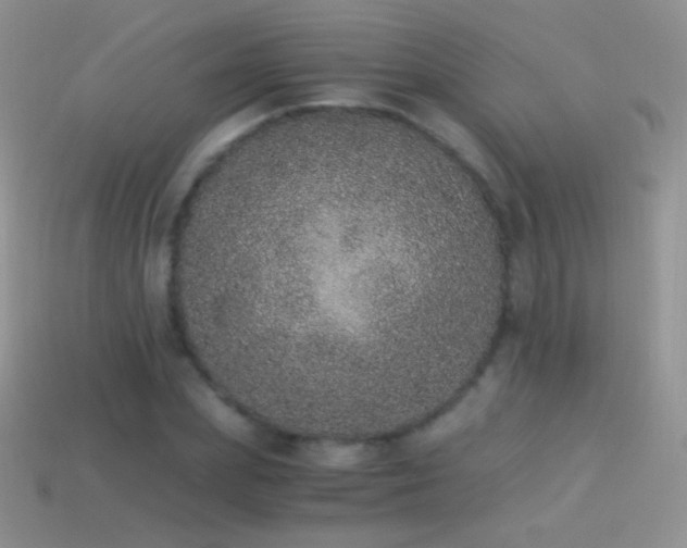 X0000114520831200910191153