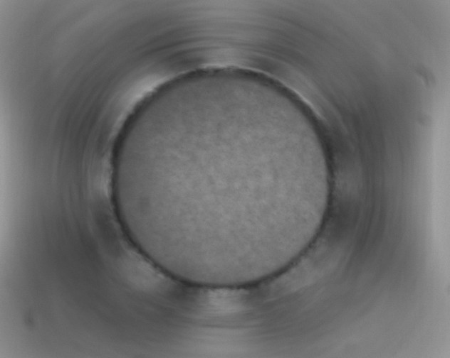 X0000114520832200910191153