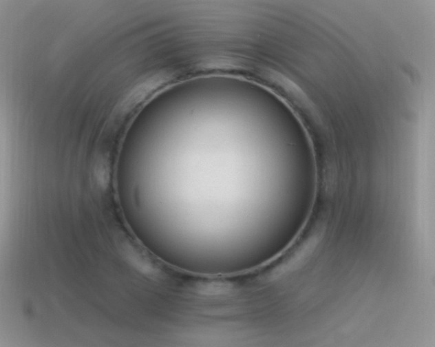 X0000114520833200910191153