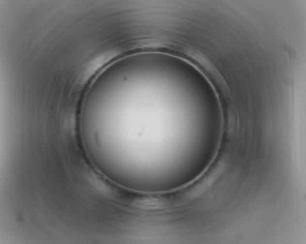 X0000114520834200910191153