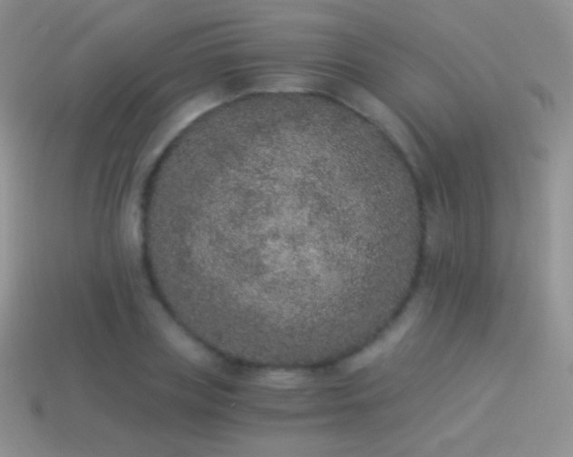 X0000114520835200910191153