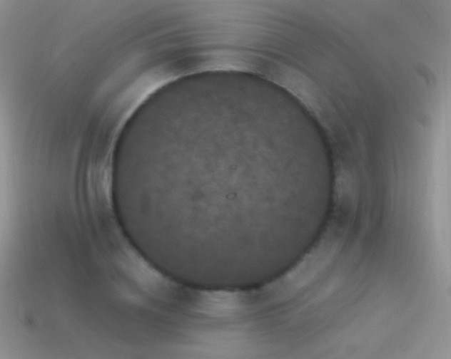 X0000114520836200910191153