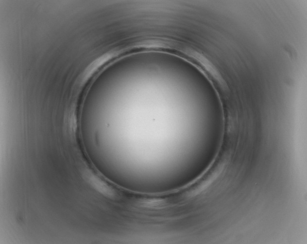 X0000114520837200910191153