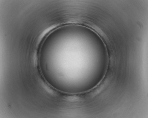 X0000114520838200910191153