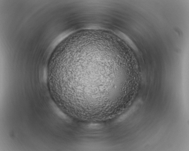 X0000114520839200910191153