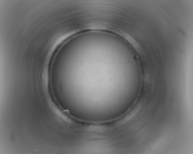 X0000114520840200910191153