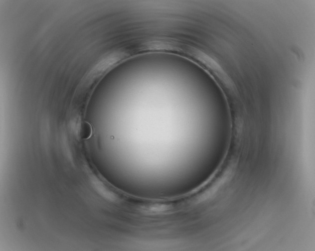 X0000114520841200910191153