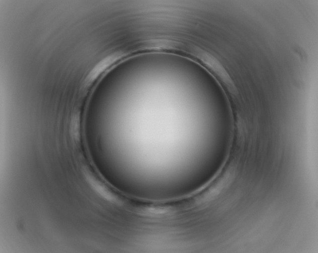 X0000114520842200910191153