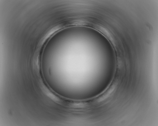 X0000114520843200910191153