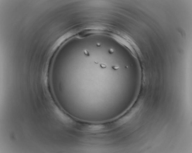 X0000114520845200910191153