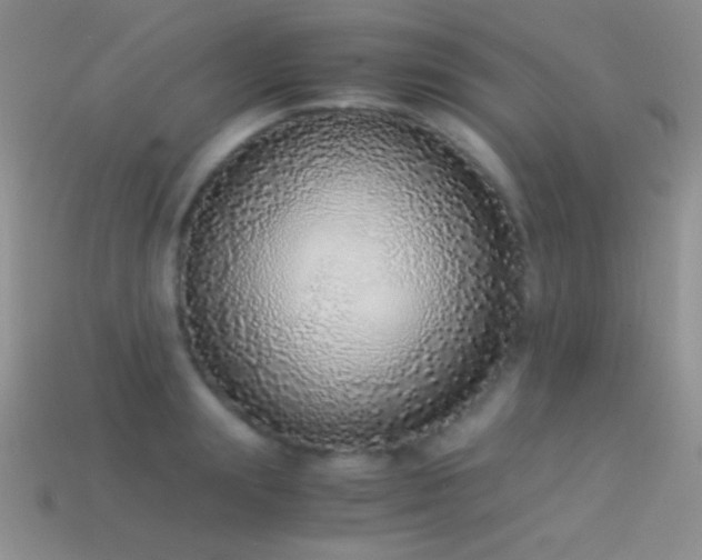 X0000114520847200910191153