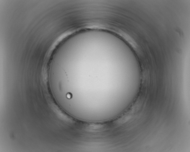 X0000114520848200910191153