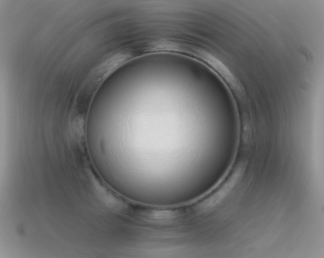 X0000114520849200910191153