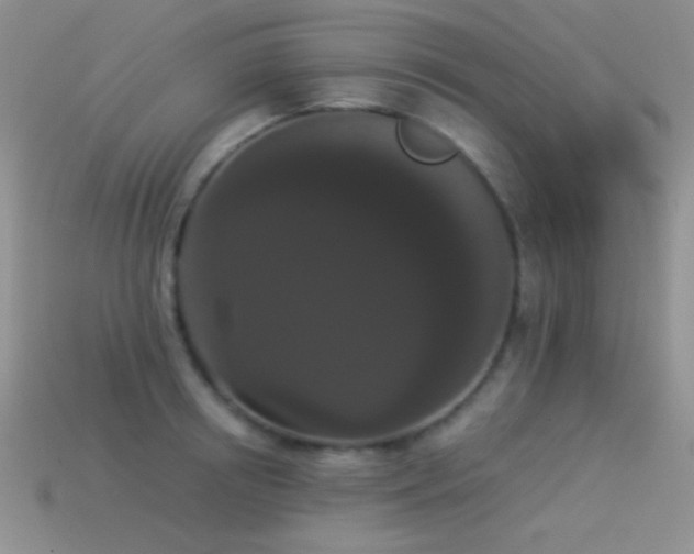 X0000114520850200910191153