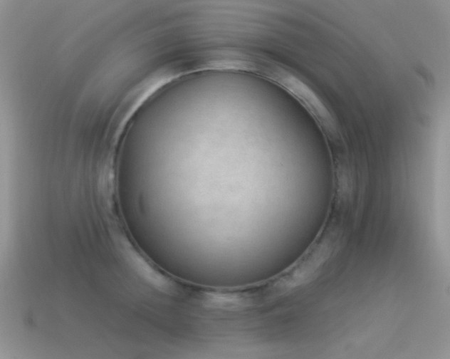 X0000114520852200910191153