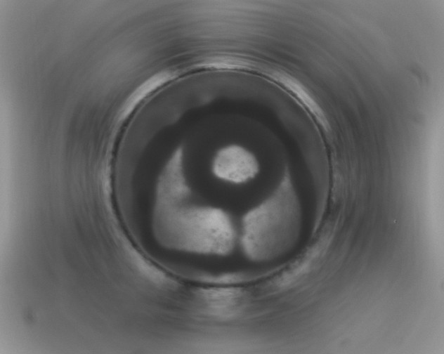 X0000114520853200910191153